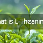 What is L-Theanine?